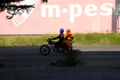 DSC_8258 (Large).JPG